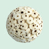 Sola Canstick Ball